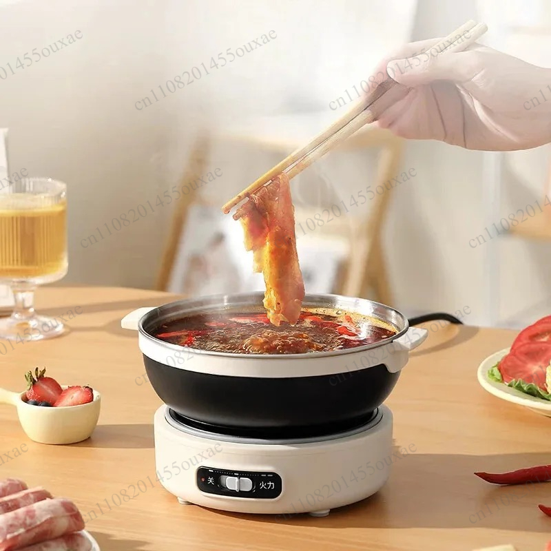 220V Portable Split Multi Cook - Hot Pot Portable Dual ulasan dan harga