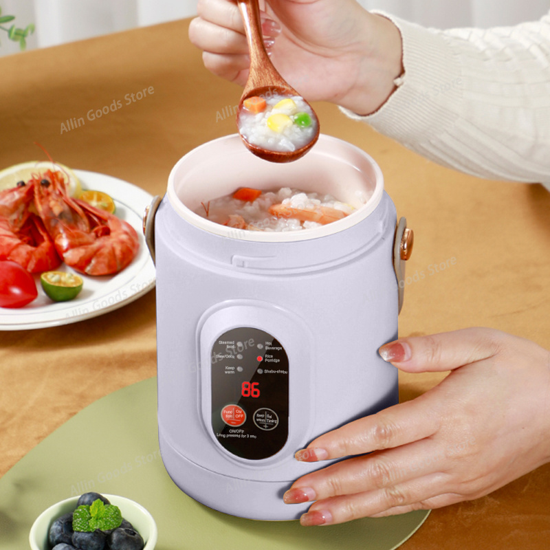 Portable Multifunctional Mini  - Hot Pot Portable Dual ulasan dan harga